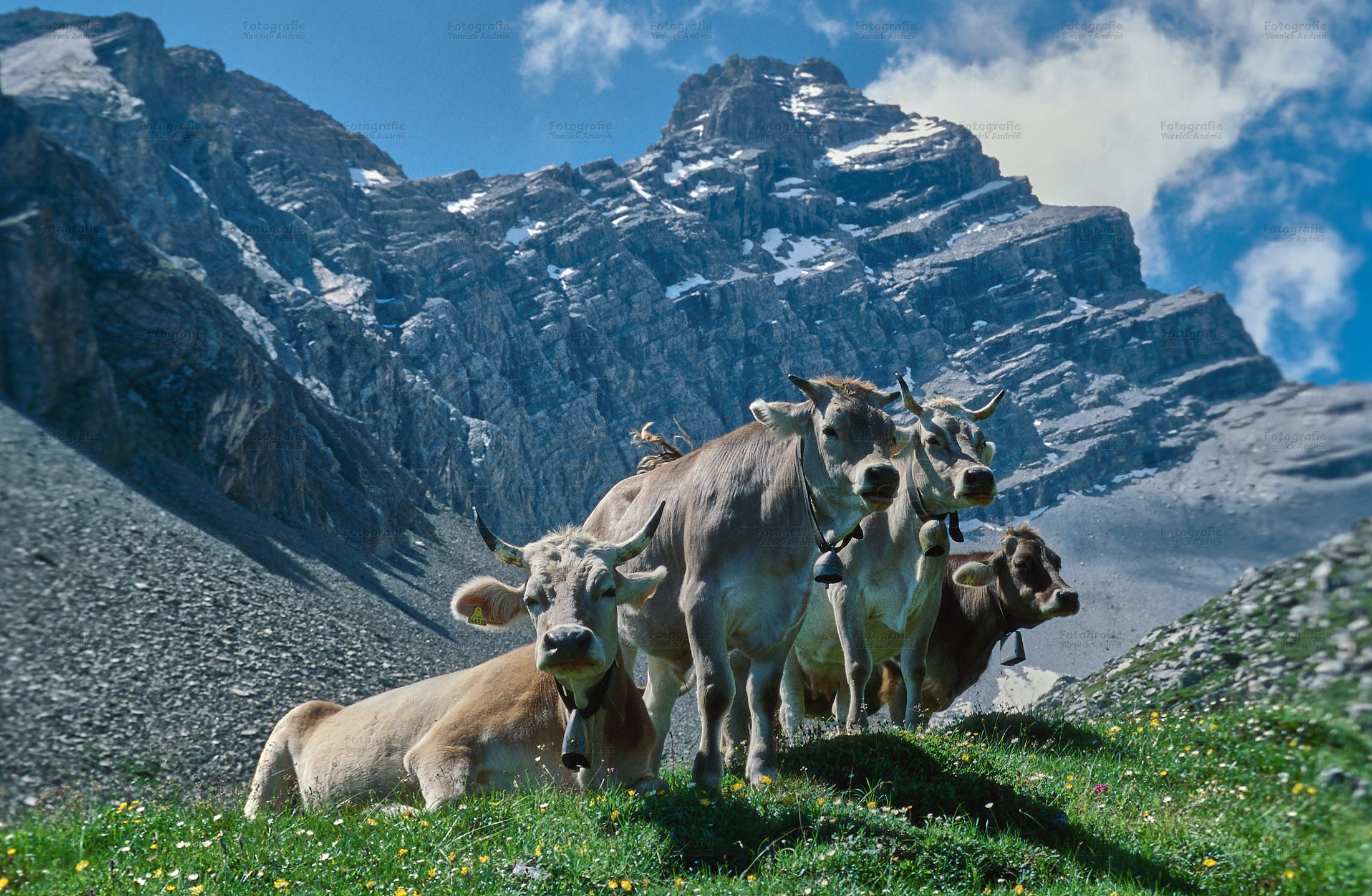 Dia-Show «Berglandwirtschaft - La prada o adegna sia valour»