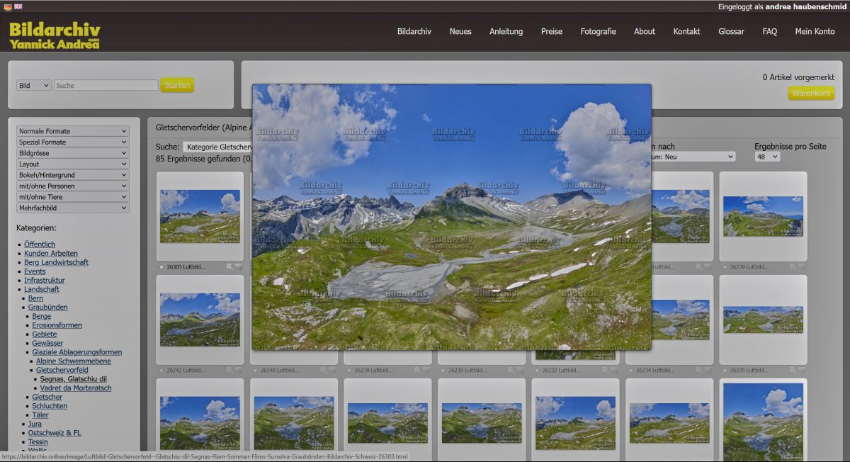 Screenshot der Kategorieansicht (Leuchtpult) Webseite des Online Bildarchivs / Bildagentur der Yannick Andrea GmbH.